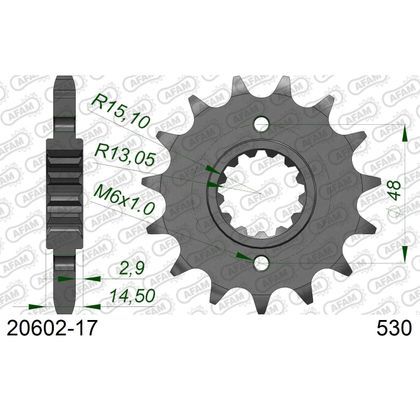 Kit chaine AFAM 525 Type Acier origine