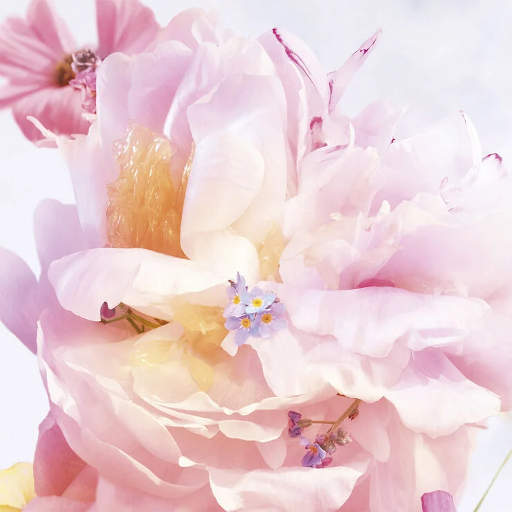 DIOR Miss Dior Blooming Bouquet Eau de Toilette
