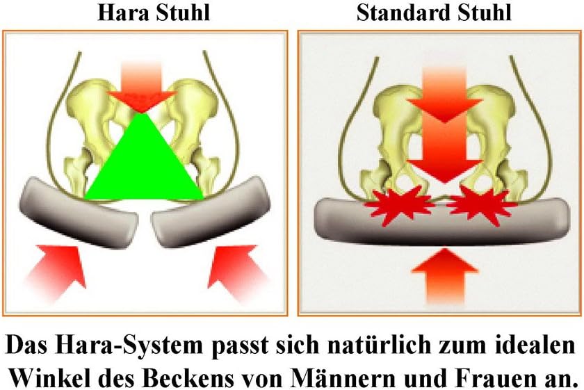 Bandscheiben Bürostuhl - ZEN-LS - Unterstützung der Lendenwirbelsäule mit Lordosenstütze - Sitzen bis zu 12H - INNOVATIVE orthopädische Bürostühle - Office Chair - 1,50m - 1,95m - Schwarz