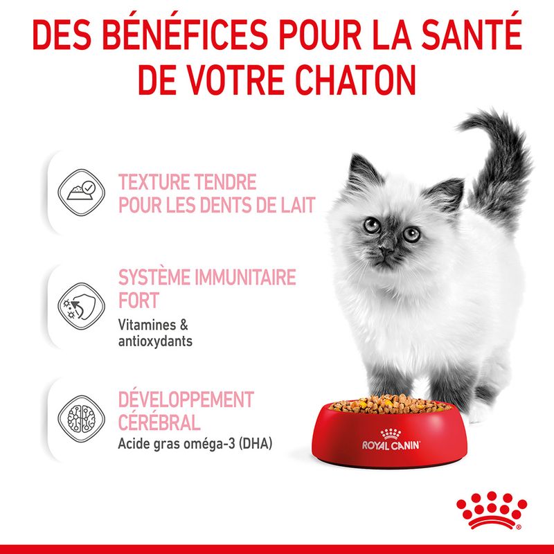 Royal Canin Kitten en gelée pour chaton