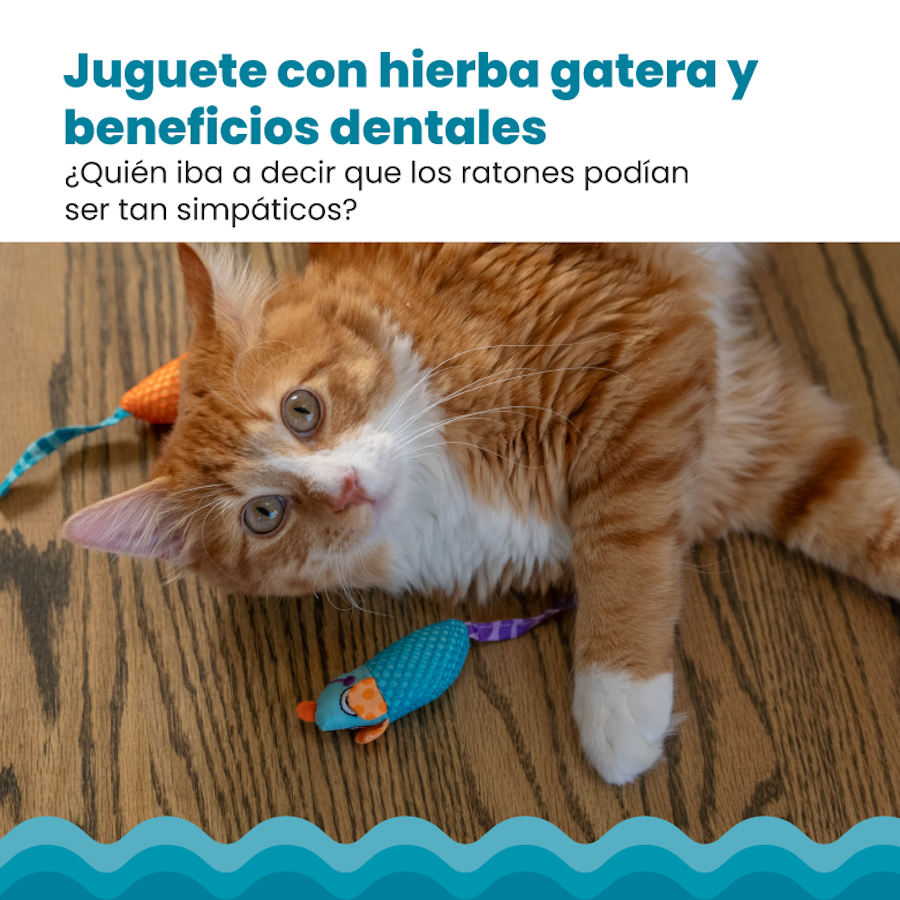 Petisco mastigável em forma de rato com catnip da Outward Hound Catstages para gatos.