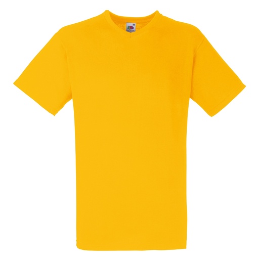 Camiseta básica de manga curta com decote em V da Fruit of the Loom