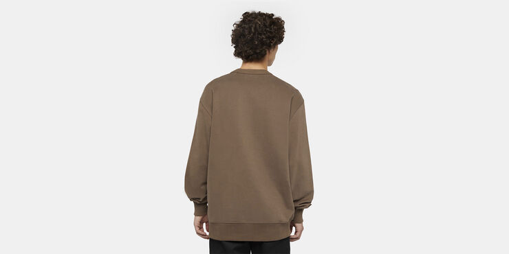 Dickies AITKIN CHEST SWEATSHIRT MUSHROOM/CL Mushroom/cloud
