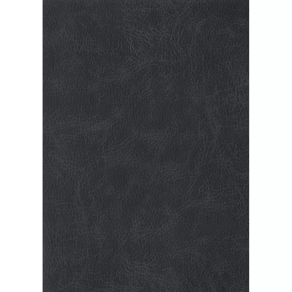 Polsterbett San Remo 160x200 anthrazit,Chrom