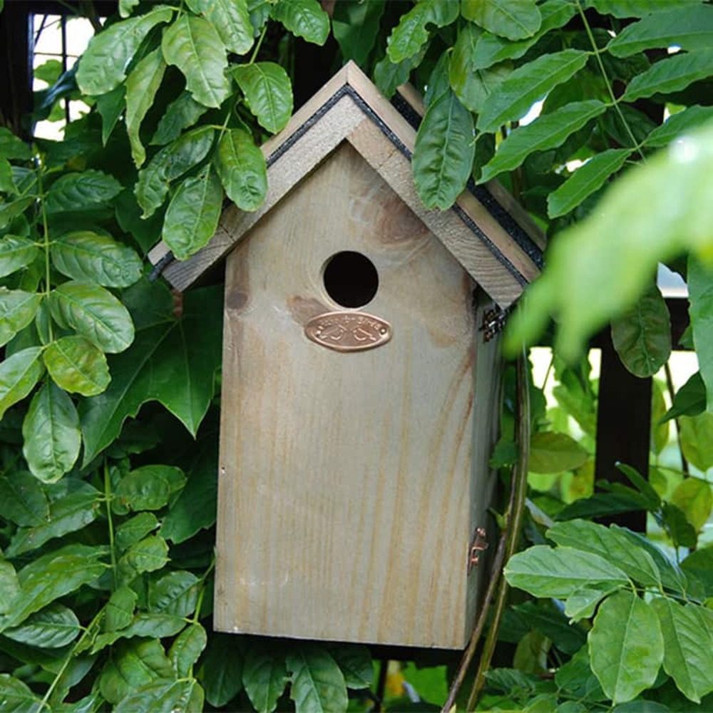 Nichoir roitelet toit en bitume 22 cm