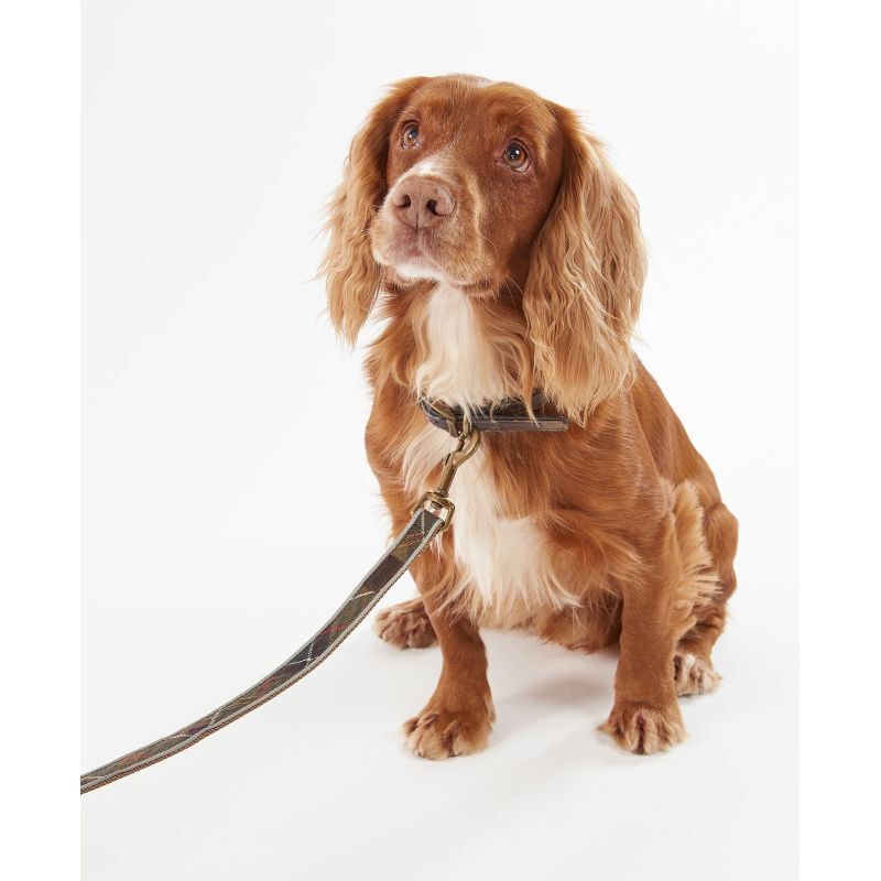 Reflective Tartan Comfort Collar - Collier pour chien