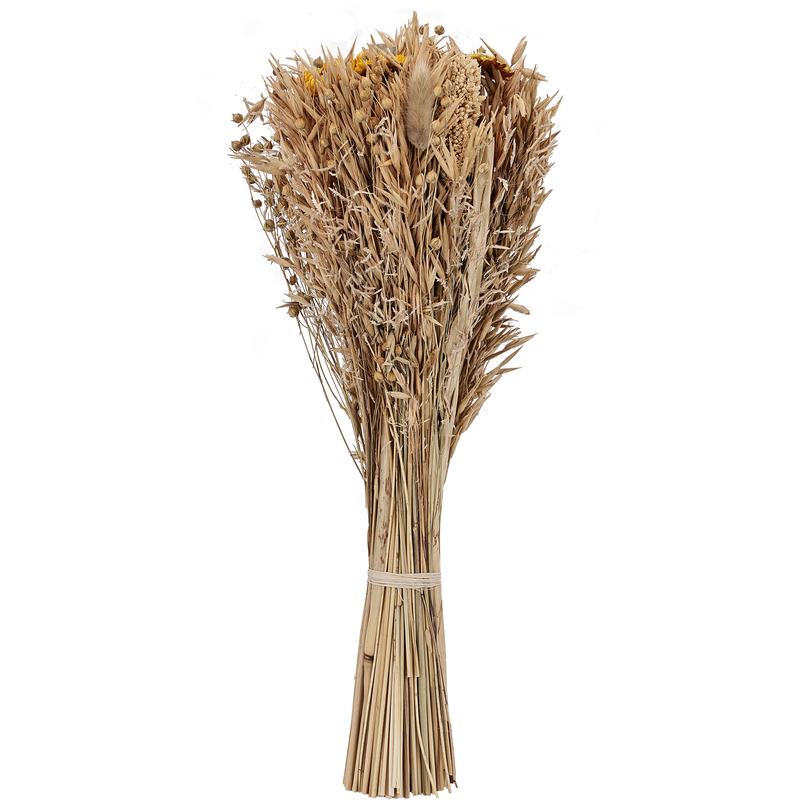 EGLO Trockenblume, 45 cm, beige