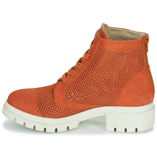 Dorking - NIDUS - Orange