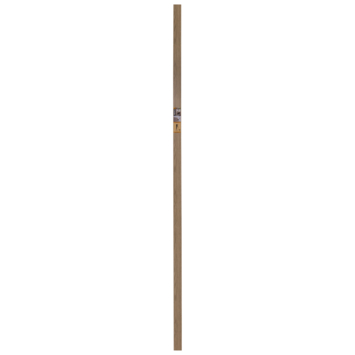 Muurplint natuur eiken nr. 509 240 cm