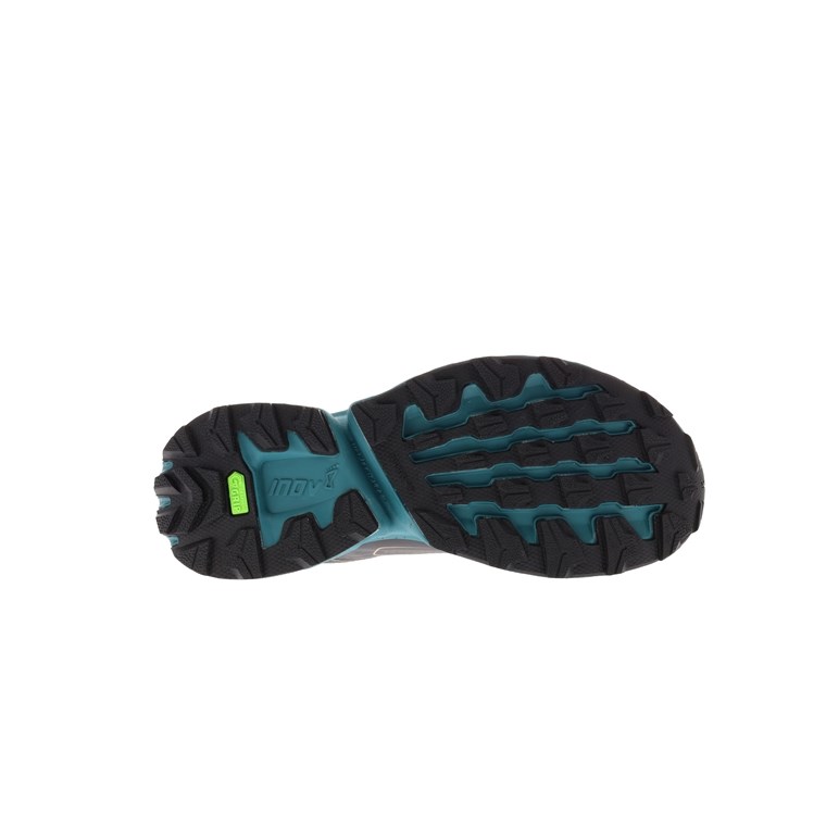 Inov-8 Rocfly g 350 GTX Women