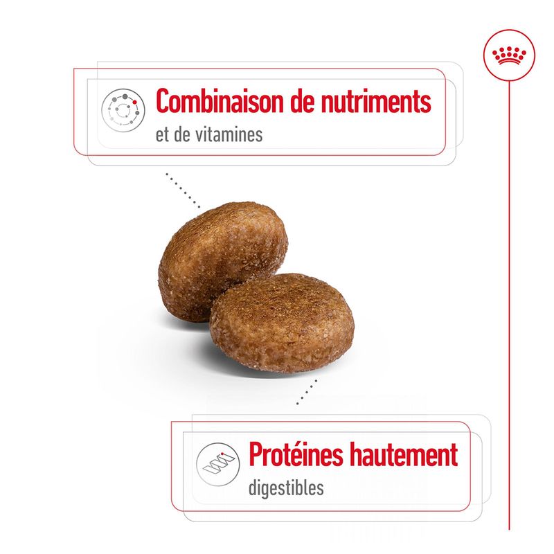 Royal Canin Maxi Adult 5+ à prix discount sur bitiba.fr