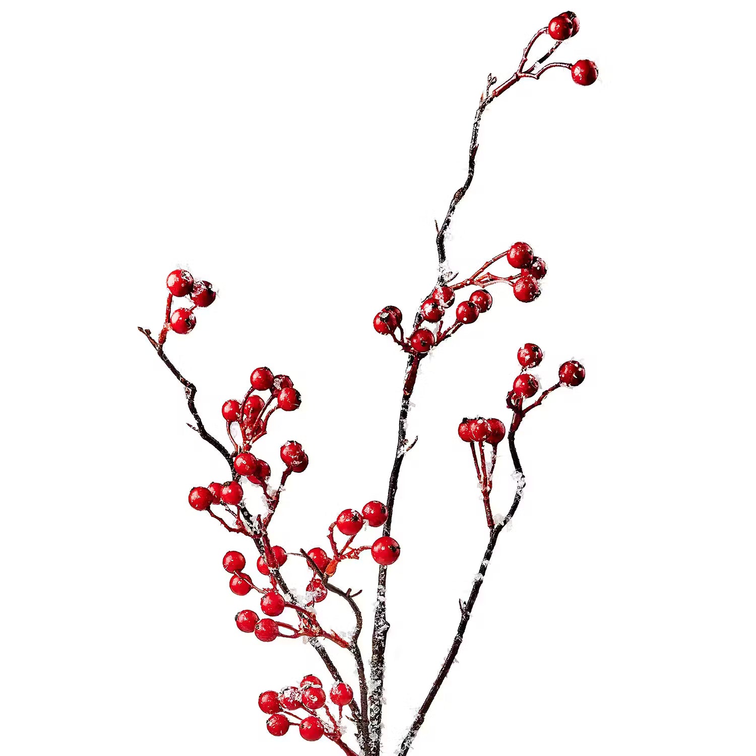 FLORISTA Beerenzweig 2er-Set