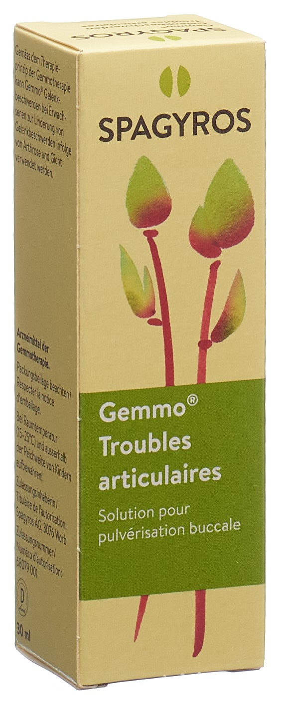 Spagyros Gelenkbeschwerden Mundspray<br>30 ml, Flasche, Spray zur Anwendung in der Mundhöhle, Lösung