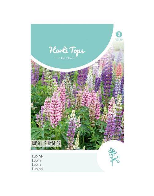 Hortitops Lupinus - Lupine Russell's Hybrids Gemengd - Bloemenzaden - 2 g