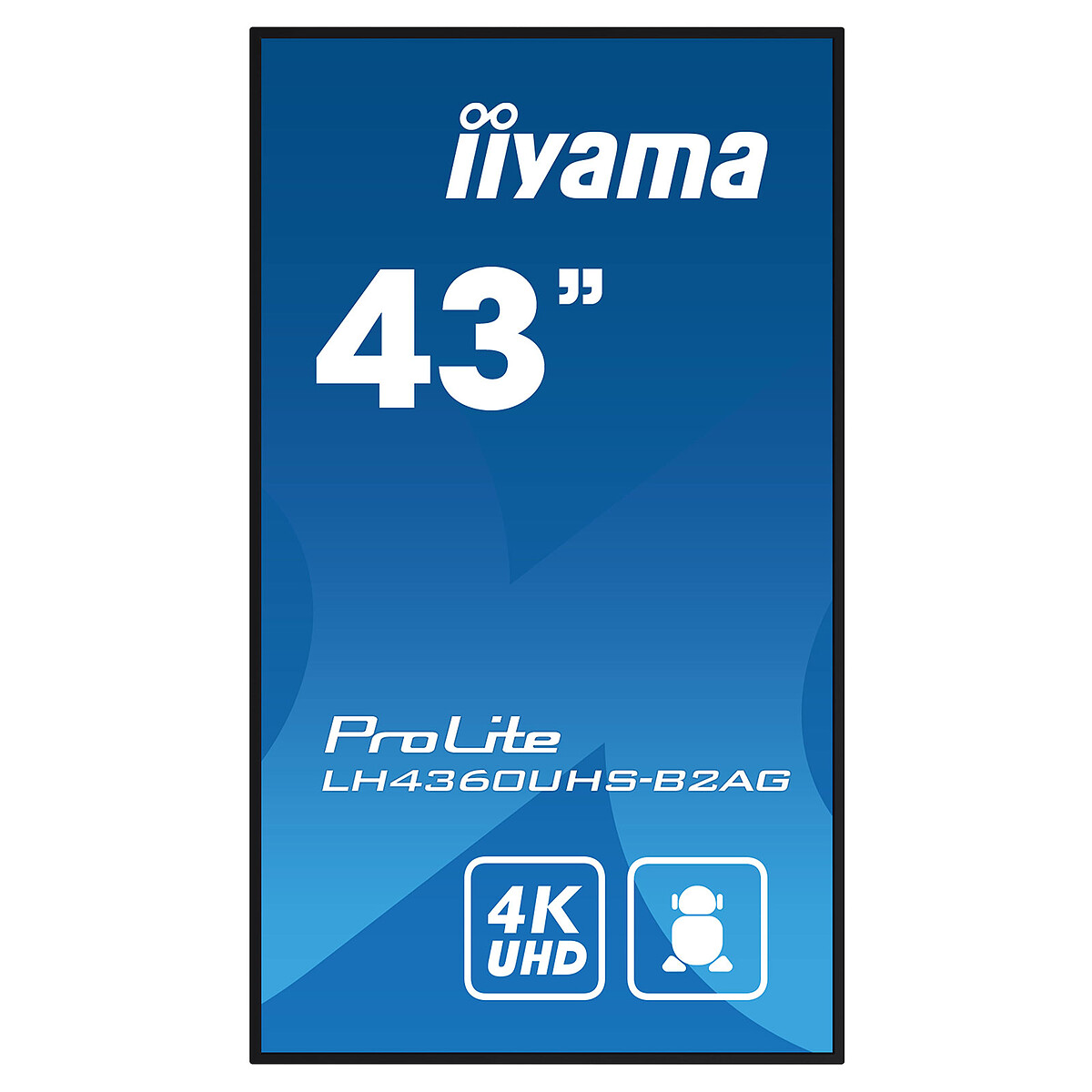 iiyama 43