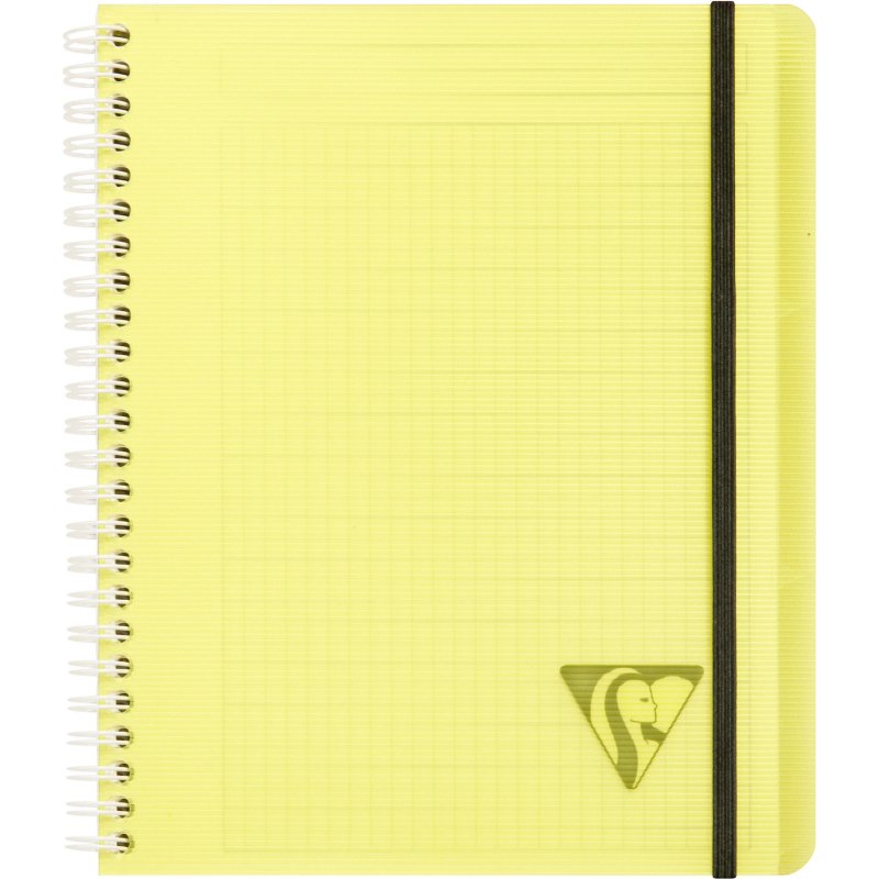 Cahier spirale Proactiv'book Linicolor format 16 x 21 cm - petits carreaux
