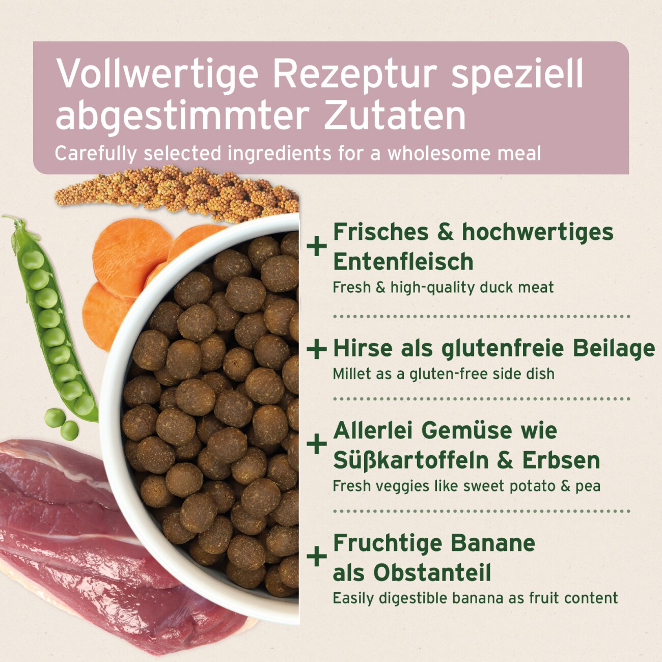 AniForte Trockenfutter FjordSalmon - frischer Lachs mit Kartoffeln 2 kg
