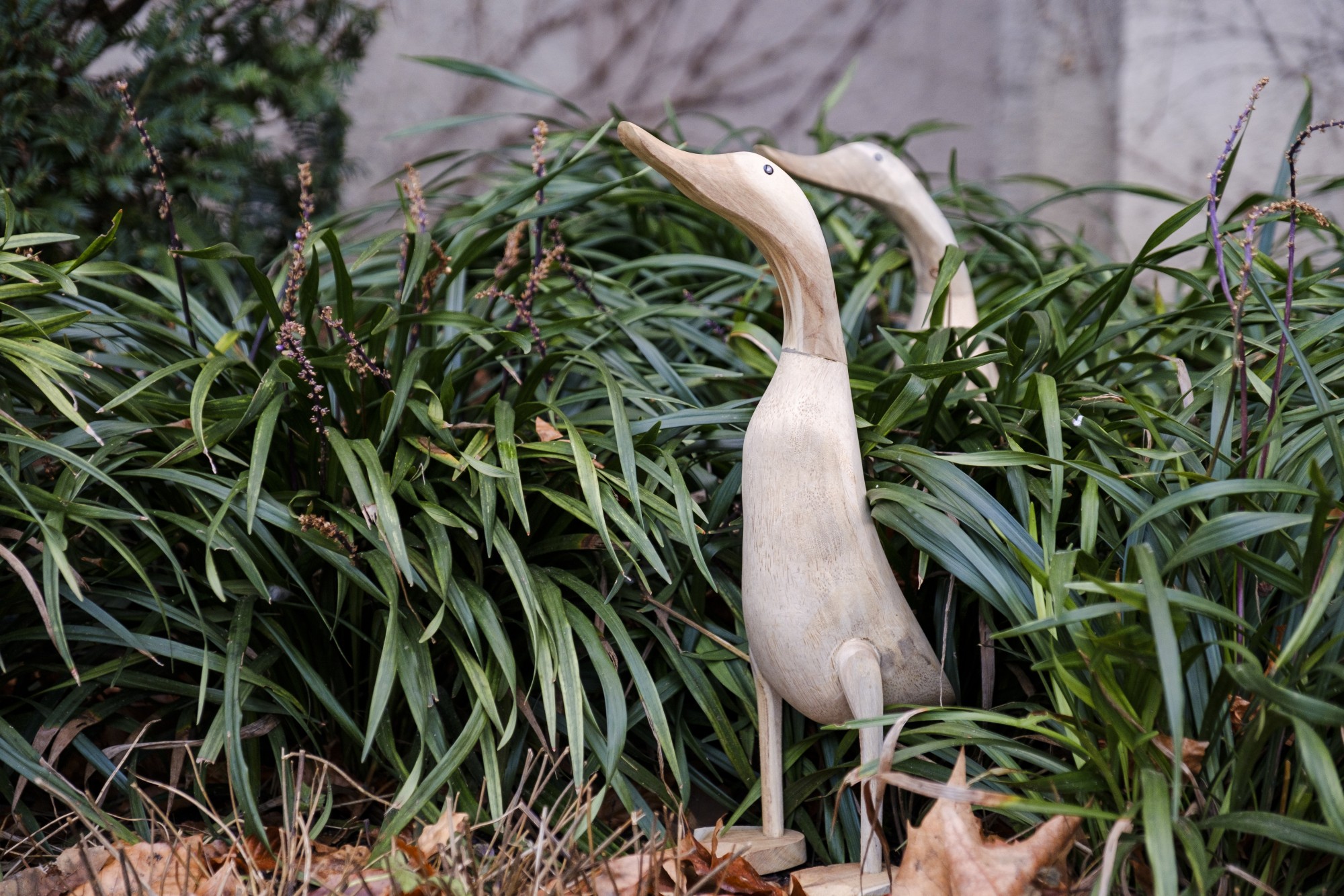 Ente 'Halus' aus Wurzelholz, groß, H ca. 55-60 cm von fischer's lagerhaus