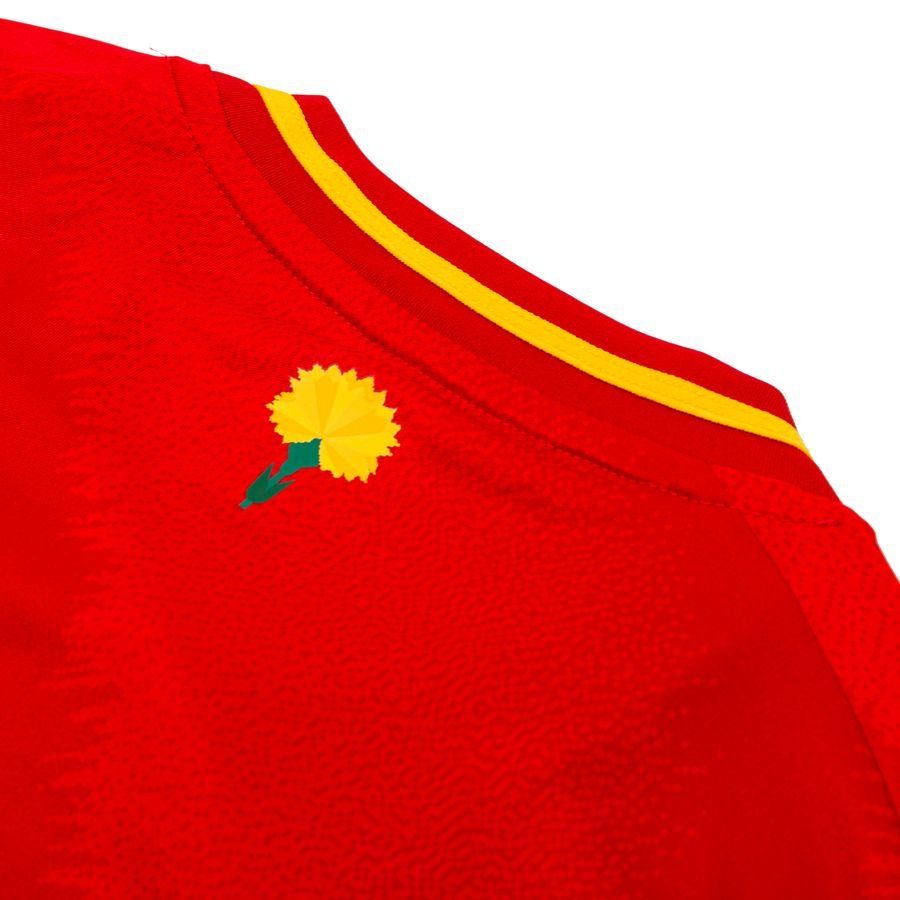 Espagne Maillot Domicile 2024/25 Enfant