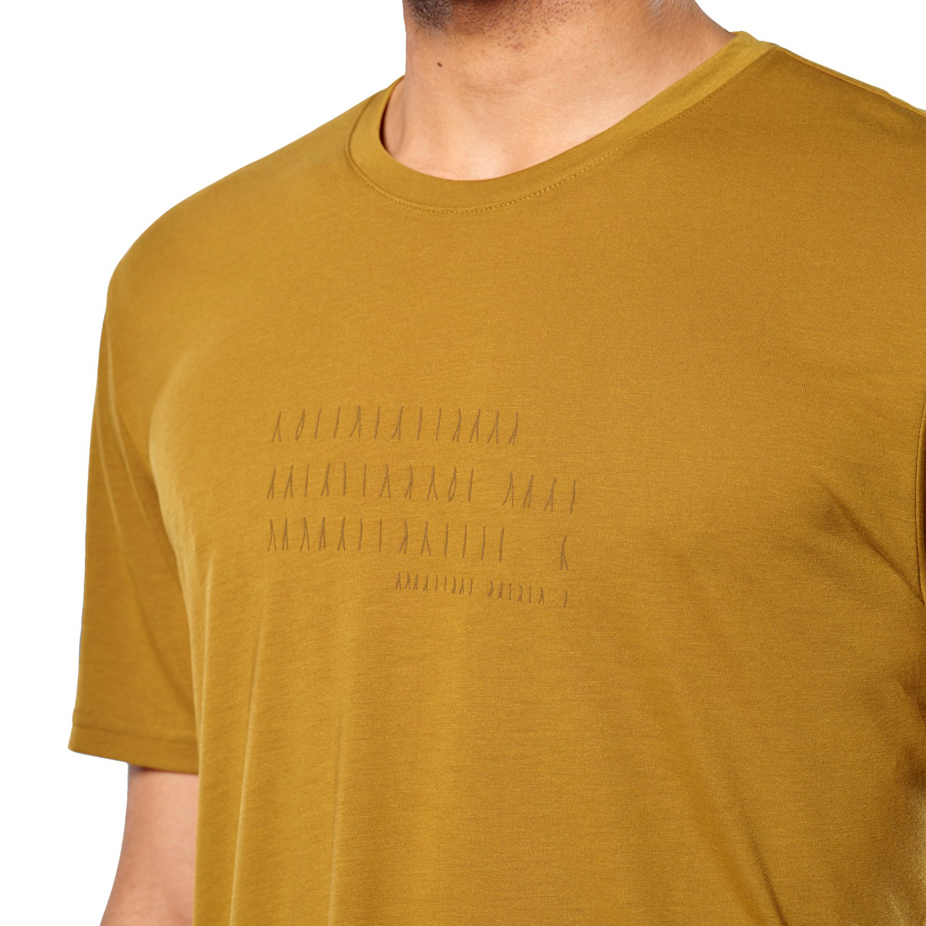 SALEWA Eagle Poem Dry T-Shirt Herren golden brown
