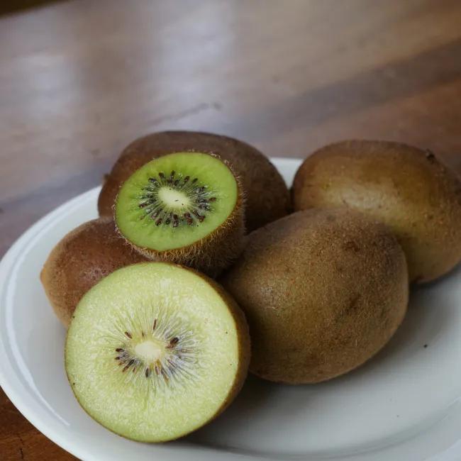 Kiwi jaune femelle 'dolce'® - actinidia deliciosa 3l