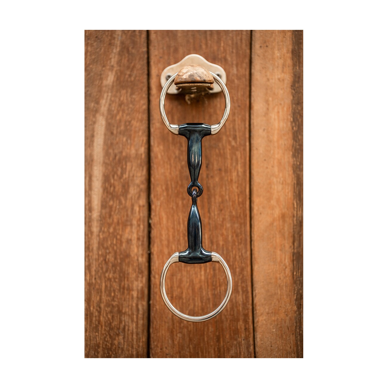Equinate Olivenkopfgebiss Sweet Iron 16mm einfach gebrochen 1,6 cm 11,5 cm