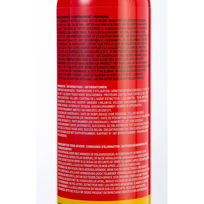 Extincteur à mousse pour Feux A et F  - Spray 750 ml