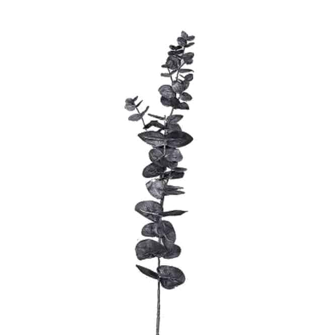 Dekozweig - Eukalyptus - schwarz - ca. 74 cm