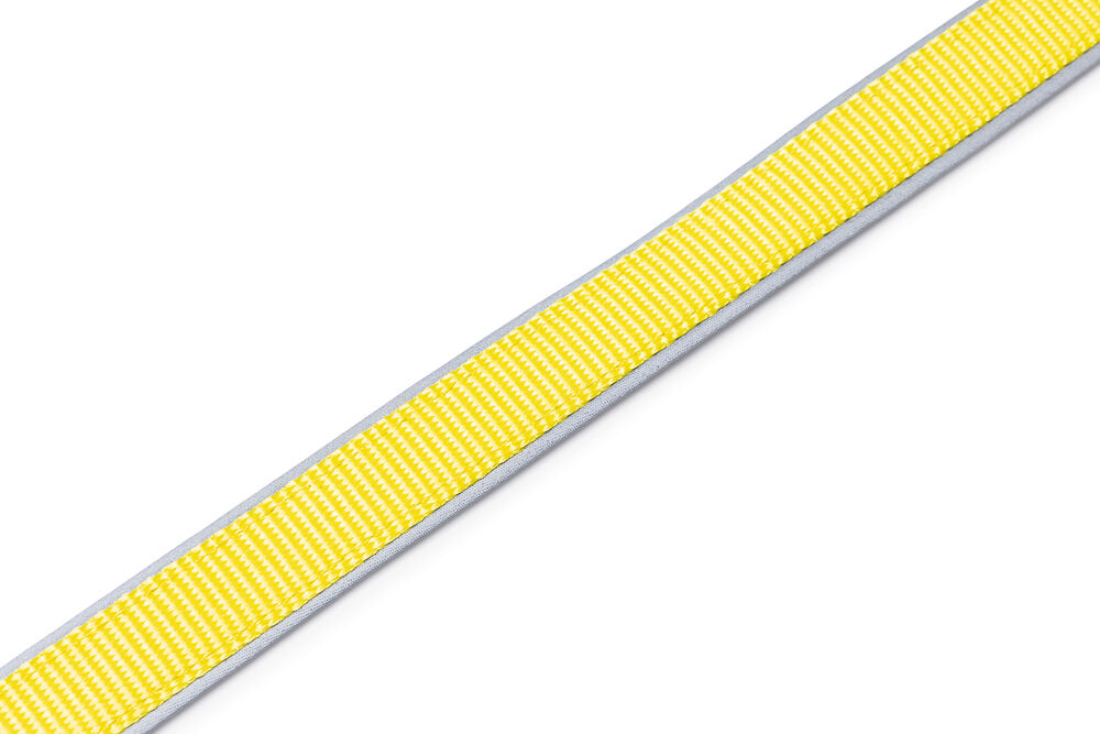 Beeztees Parinca - Reflecterende Hondenriem - Geel - 2 cm - 150 cm