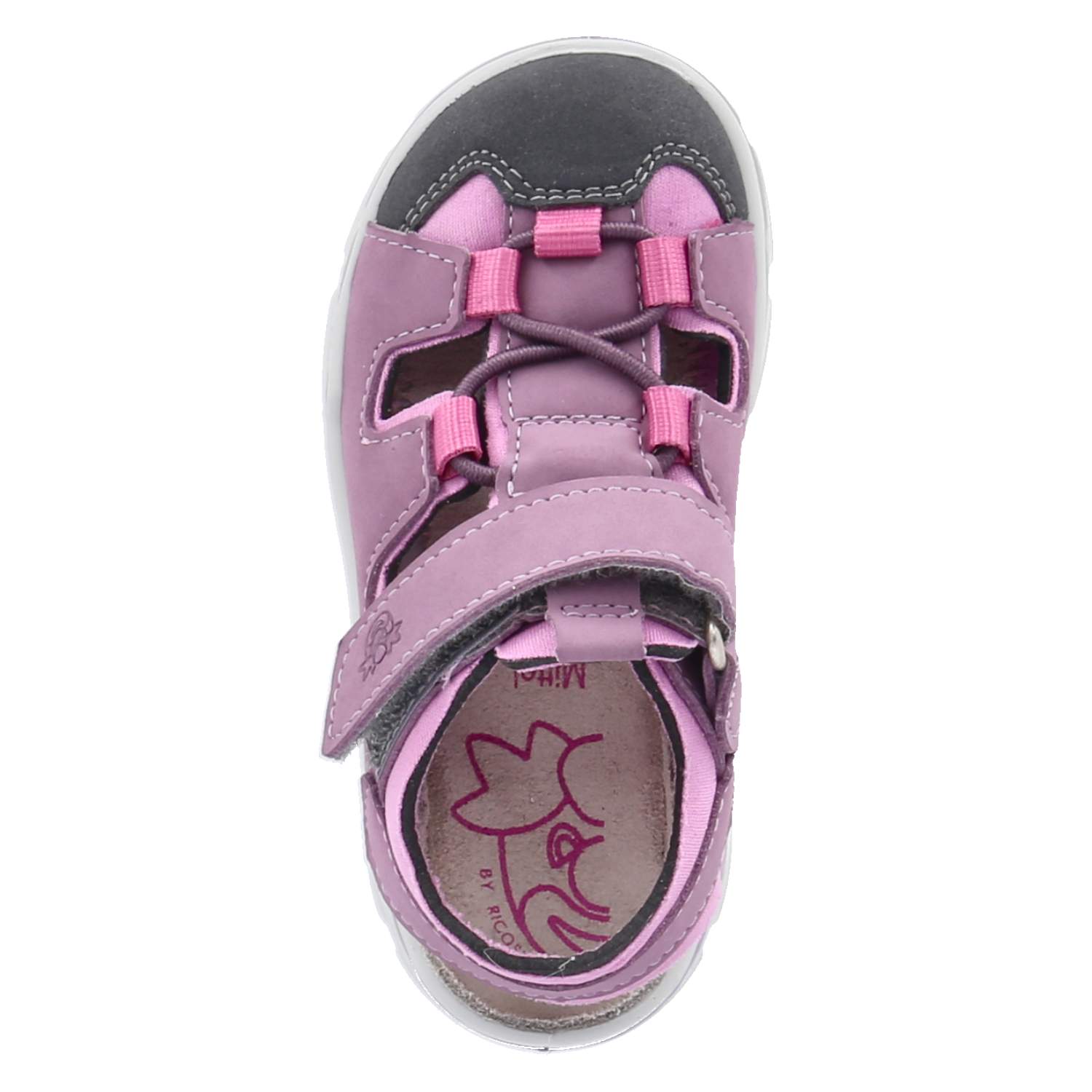 Pepino Miniletten GERY - purple/rosada