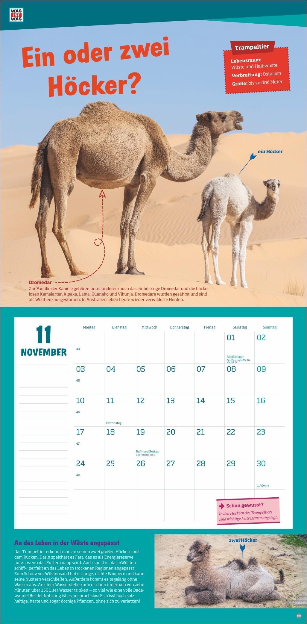 WAS IST WAS Tierwelt Broschurkalender 2025