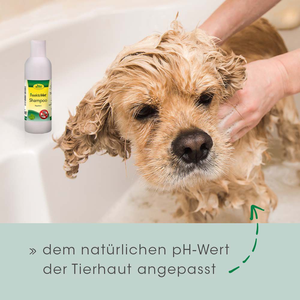 cd Vet insektoVet® Shampoo