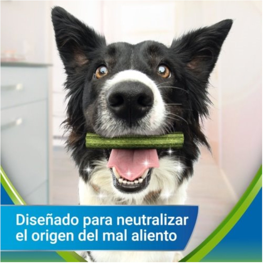 Dentalife Medium ActivFresh Petiscos Dentais para Cães