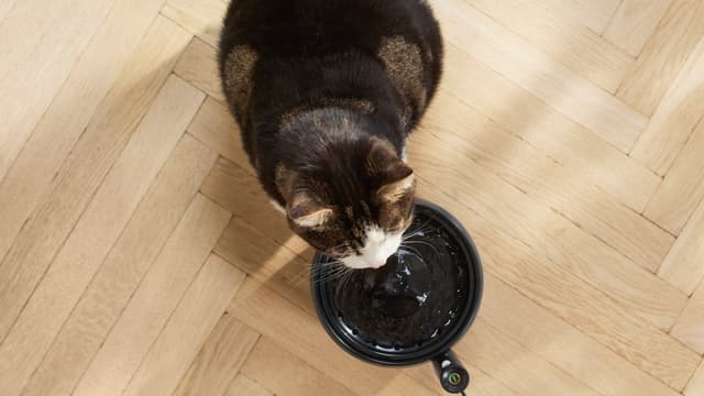 Philips Pet Series vandfontæne PAW3210/02 (black)