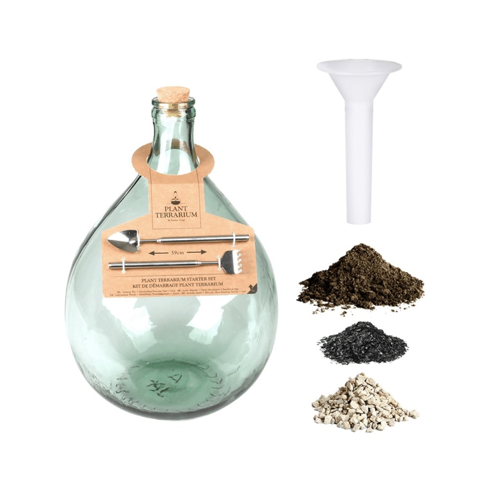 Terrarium végétal à faire soi même 5l