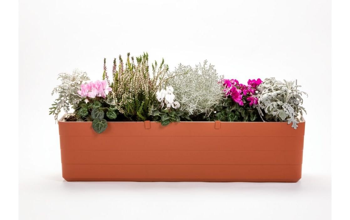 Blumenkasten »Plastia Berberis 80 cm«