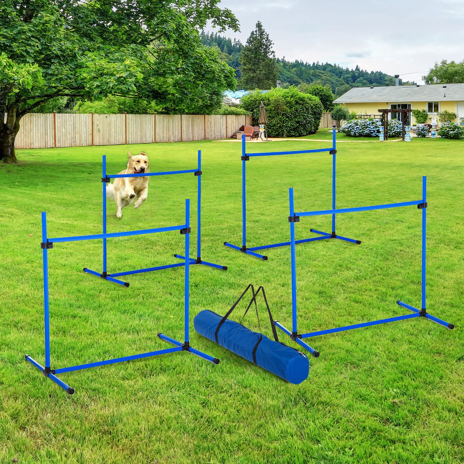 PawHut Agility Hürdenset als 4er Set blau 95 x 65 x 95 cm (LxBxH)