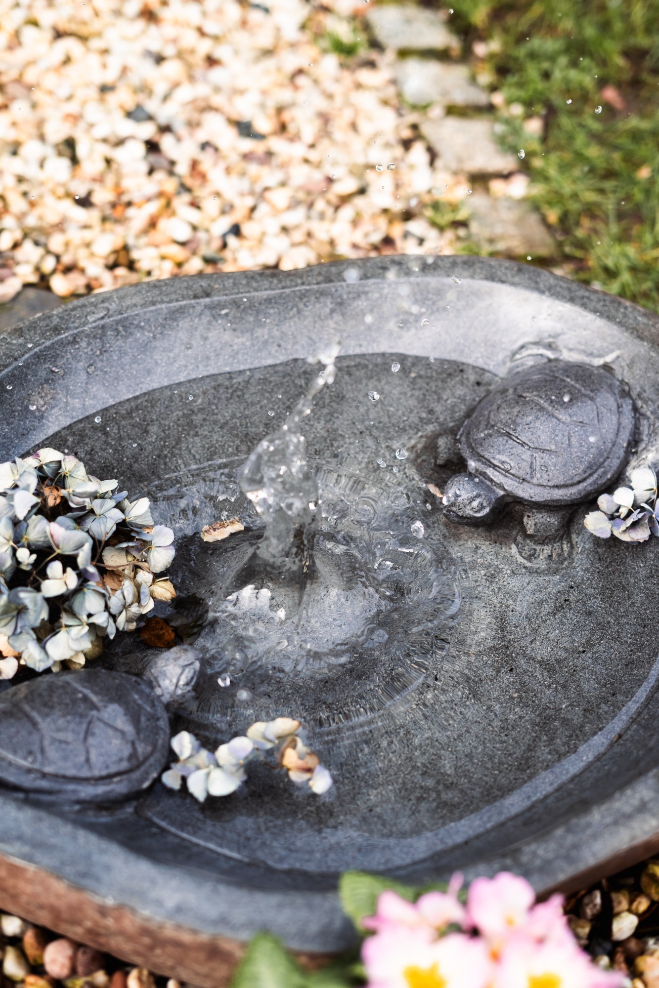Vogeltränke 'Turtle', natur, Ø 40 cm, H 11 cm günstig bestellen