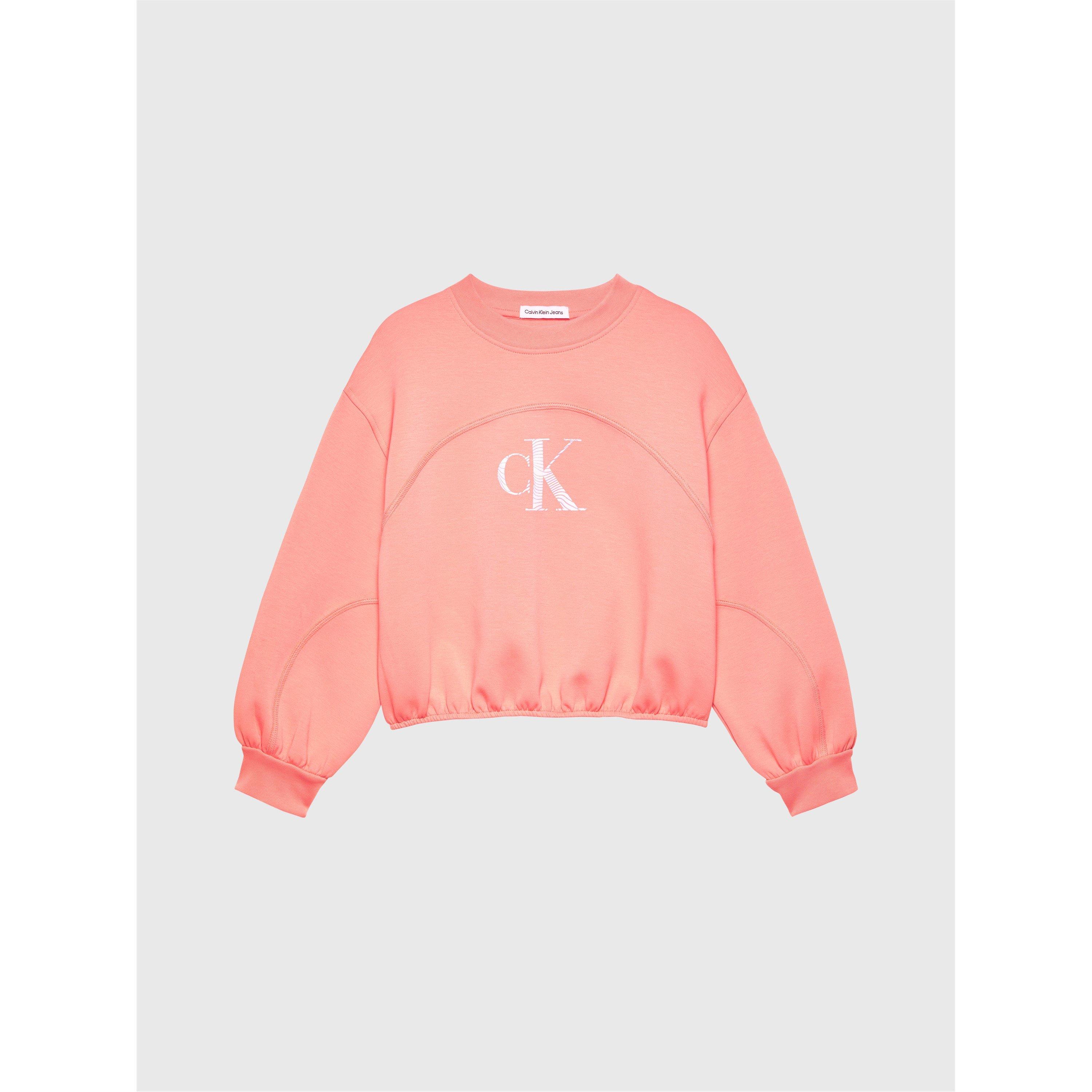 Calvin Klein Jeans Logo Crew Sweater Juniors