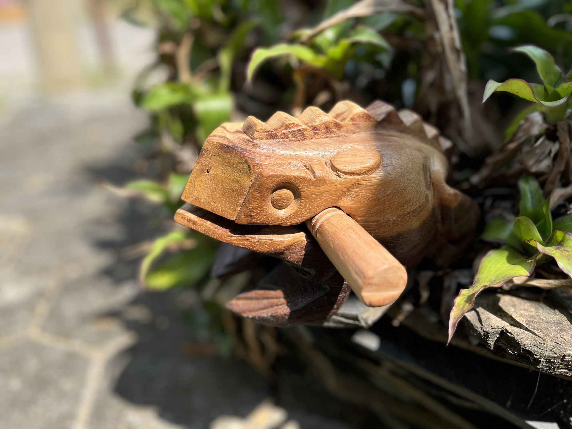 Klangfrosch, natur, B 22 cm, L 12 cm, H 10 cm günstig bestellen