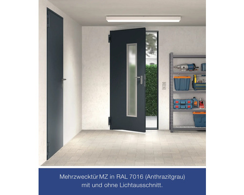 Hörmann multifunctionele kelderdeur met glaspaneel, RAL 7016 antracietgrijs, 1000x2000 mm, omkeerbaar (links/rechts), incl. matglas