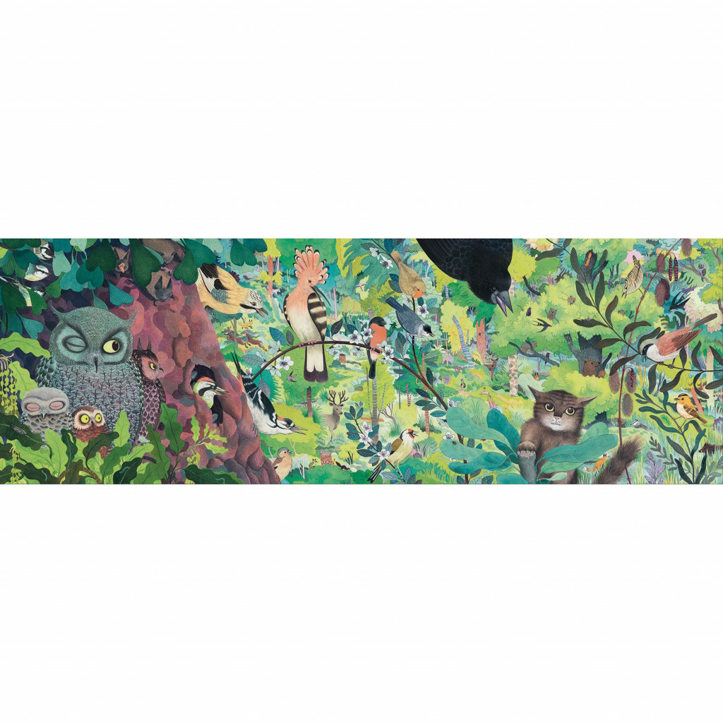 Puzzle Gallery - Owls and Birds 1000 pièces