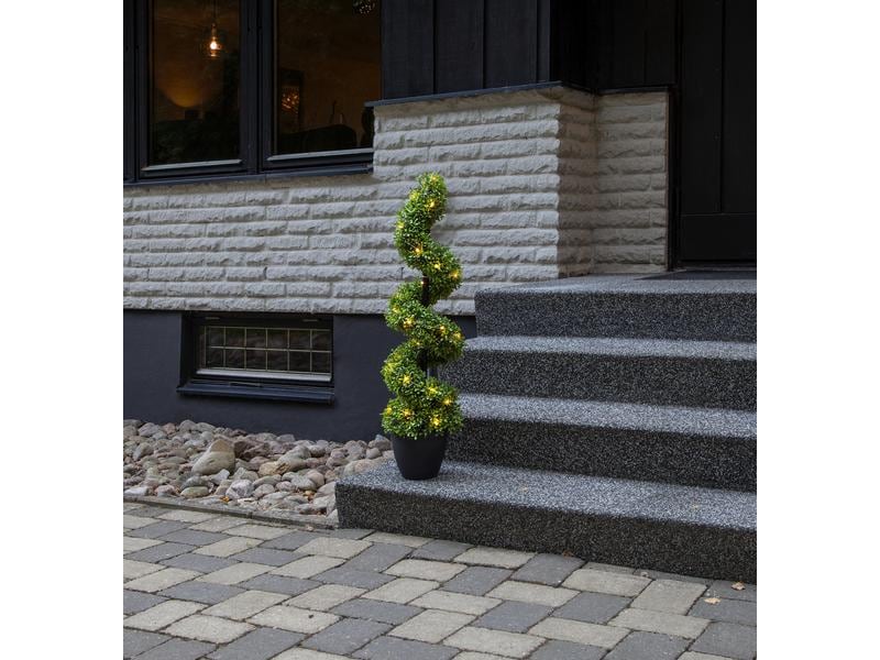 Star Trading Baum Buxbom, 0.9 m, Grün, 30 LED LED Leuchtbaum