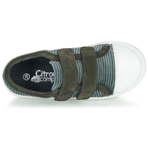 Citrouille et Compagnie - LILINO - Gris