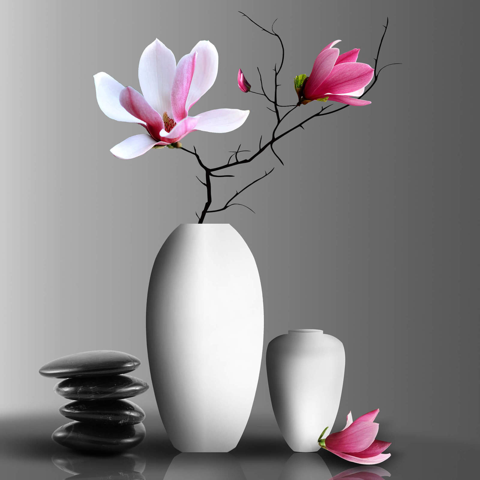 Leinwandbild MAGNOLIE - pink - 50x50 cm