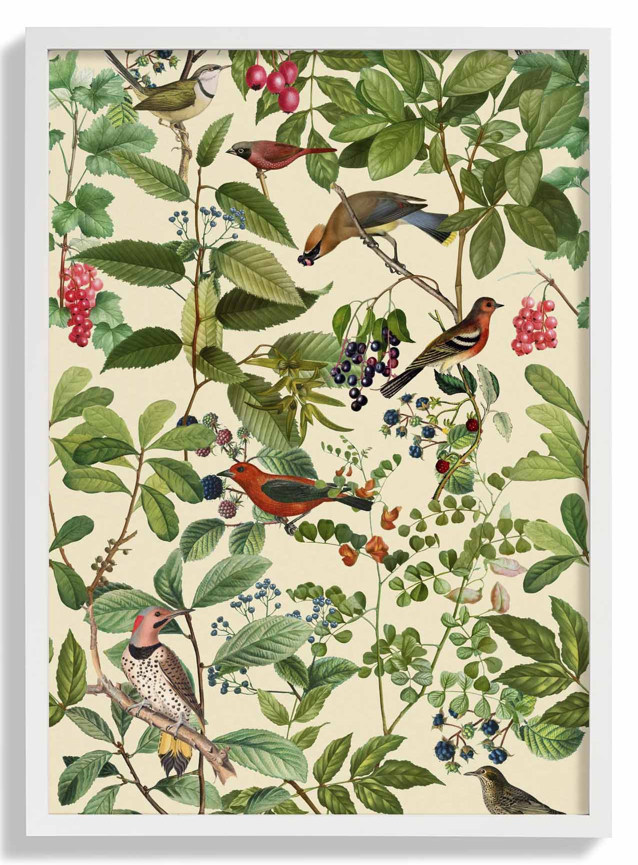Vögel und Beeren von Andrea Haase