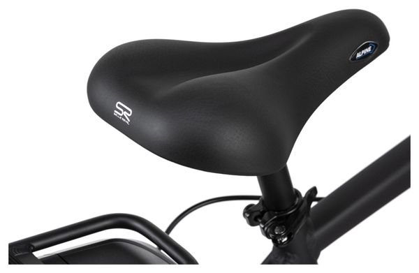 Vélo électrique homme aluminium Adore Versailles 28  E-Bike noir 250 Watt Li-Ion 36 V/10 4 Ah 7 vitesses