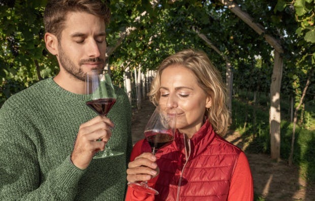 Weinbergwanderung in Worms als Geschenkidee