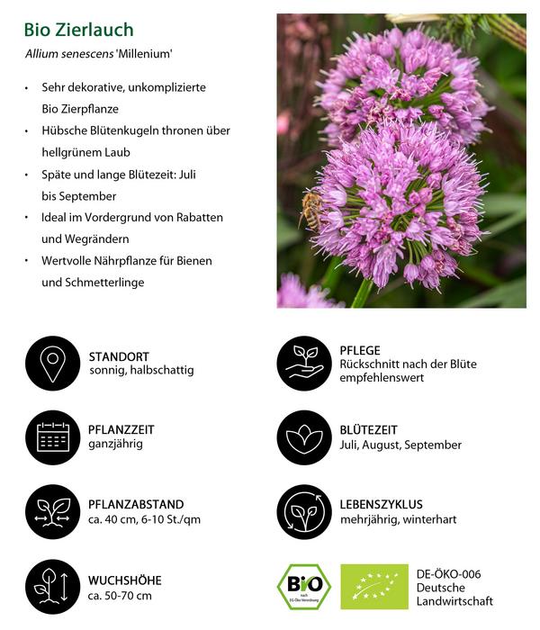 Bio Stauden-Set Trocken durch den Sommer,