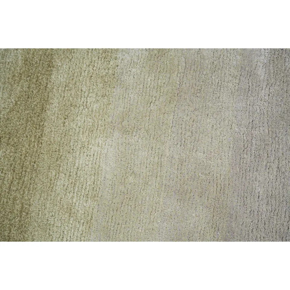 Dutch Lifestyle - Viscose - Vloerkleed - 160x230cm - Multikleur